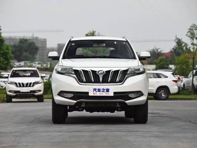 Treeland Motors Car 6