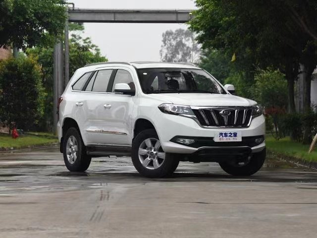 Treeland Motors Car 1