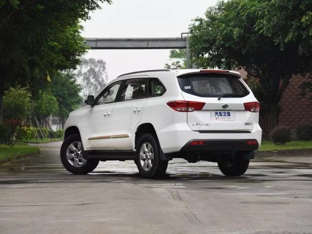 Treeland Motors Car 5