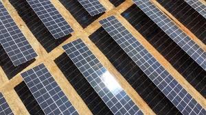 Treeland Motors Car 3